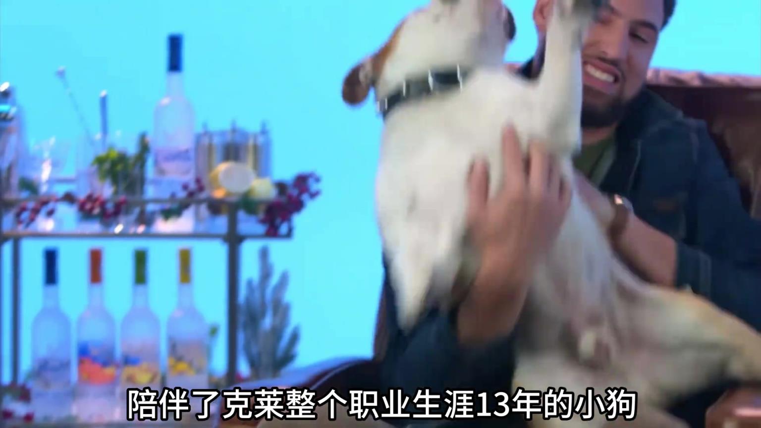 陪伴克萊13年的小狗去世了，不敢相信克萊得多么傷心
